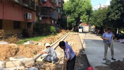 老街最新爆料新闻事件,真相即将揭晓！