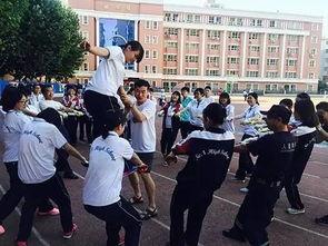 石家庄高中爆料事件最新,揭秘校园内幕引发社会关注