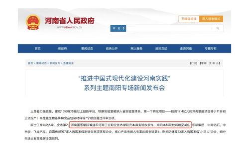 南阳头条最新爆料,最新爆料事件深度解析